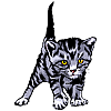 The Deadly Kitten The Deadly Kitten